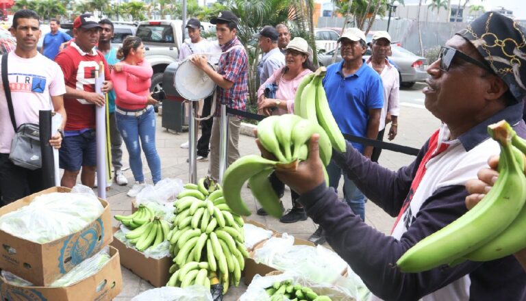 Estados Unidos quiere mejorar las condiciones de trabajo en bananeras y florícolas de Ecuador