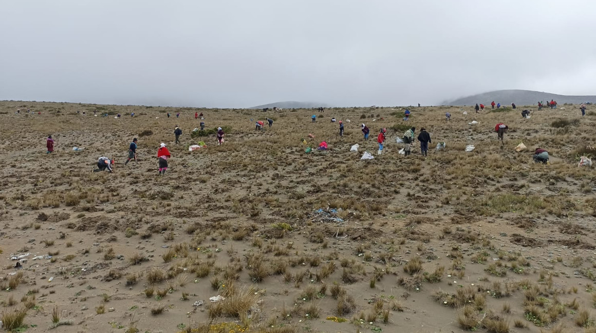 En la actualidad, 60 comunidades de Tungurahua trabajan en la protección de páramos, pero no todas respetan el límite de conservación.