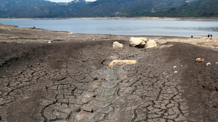 Sequía en Bogotá: Alcaldía cobrará multas a quienes desperdicien el agua