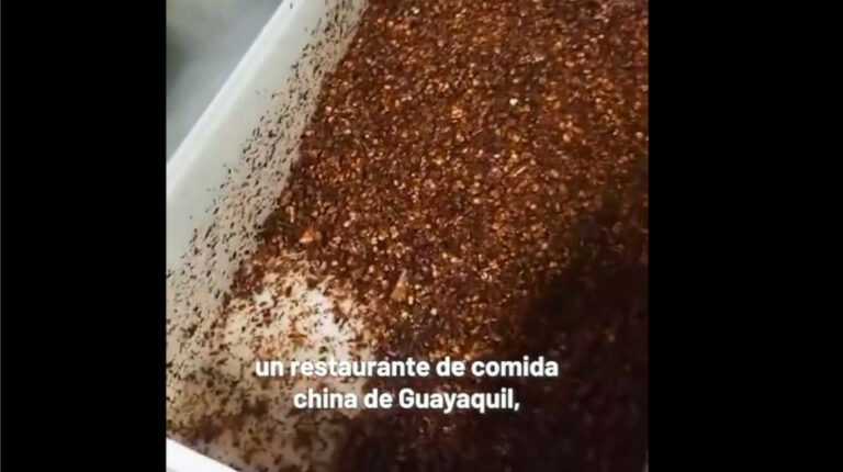 Heces de ratones, cucarachas y restos de comida en otro chifa clausurado en Guayaquil