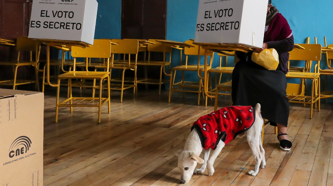 ¿Cuándo se aplicarán los resultados de la consulta popular y el referendo en Ecuador?