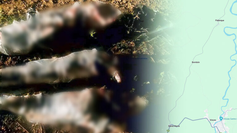 Los Ríos: Esto se conoce sobre los cuerpos embalados de cuatro jóvenes en Palenque
