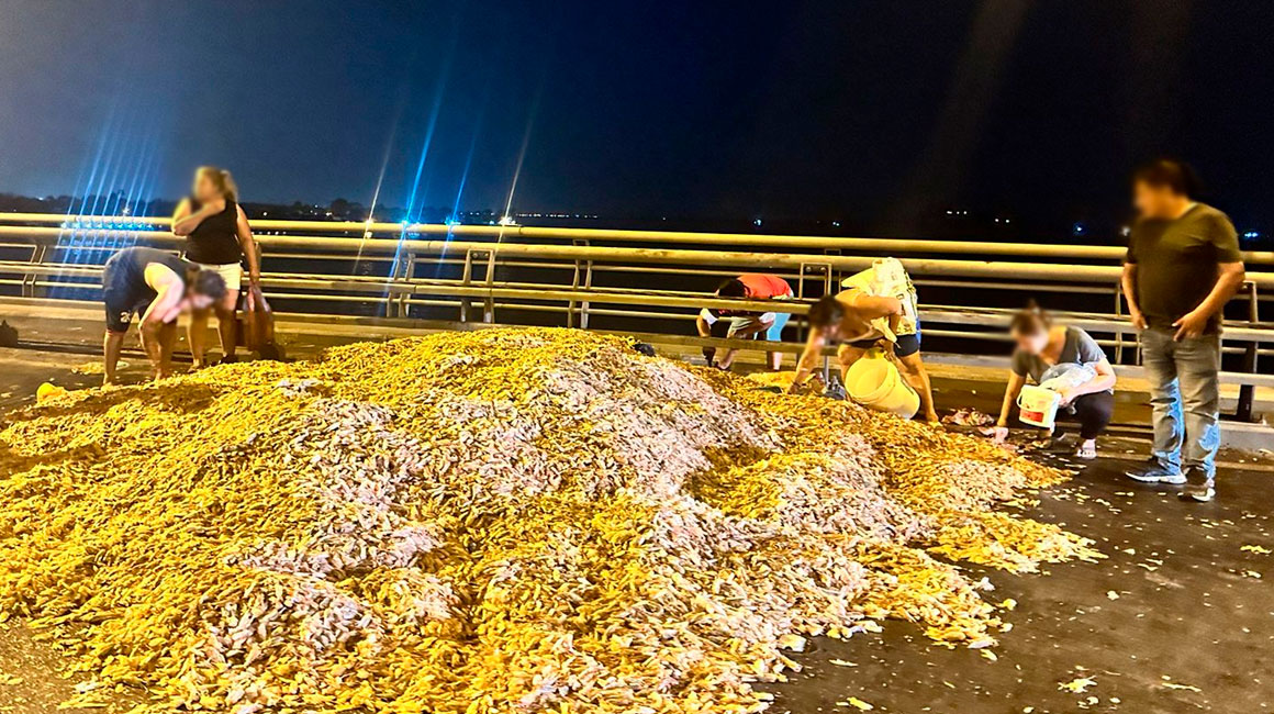 Guayas: Desechos de camarón cubrieron un tramo del Puente de la Unidad Nacional