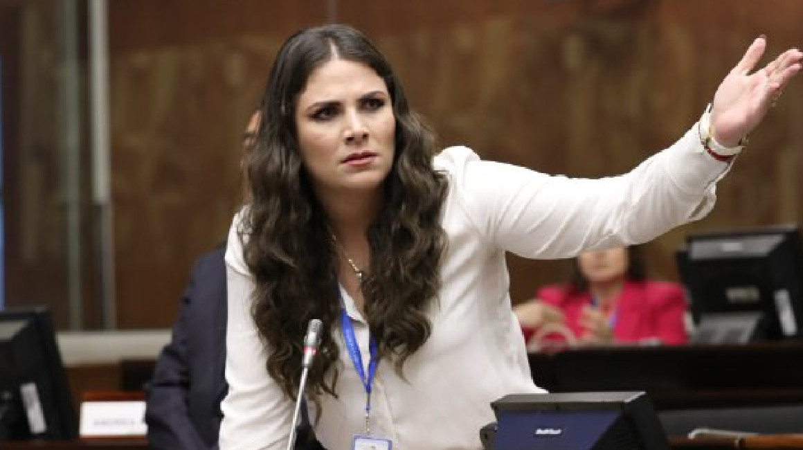 La asambleísta Ana Galarza en una sesión del Pleno el 4 de mayo de 2024.