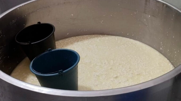 Hallan quesos contaminados con bacterias en Cotopaxi