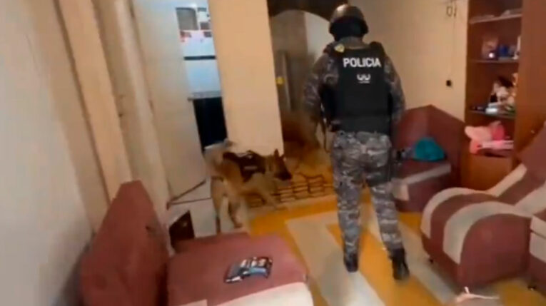 Can de la Policía inspecciona una vivienda de Quito que almacenaba droga.