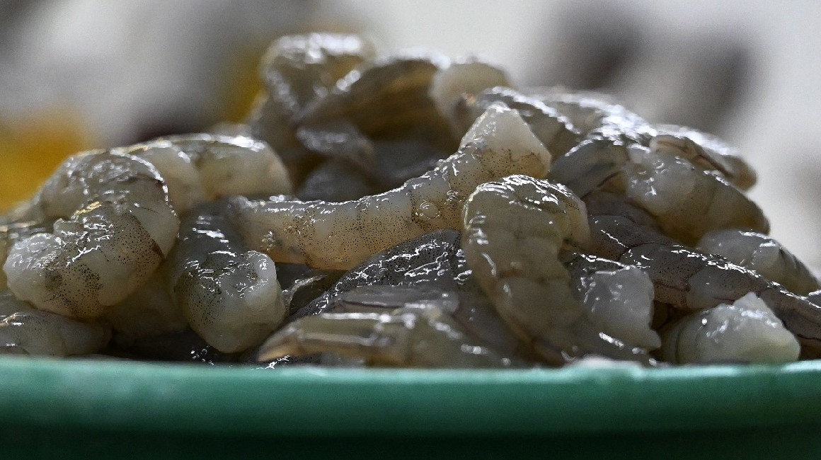 China es el principal destino de las exportaciones de camarón desde Ecuador.