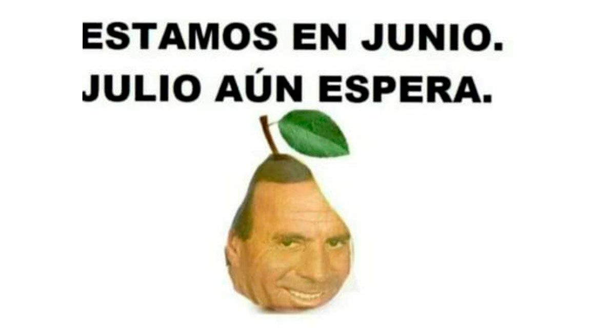 Estamos en junio, julio aún 'espera': Los memes de Julio Iglesias ya empiezan a tomarse Internet