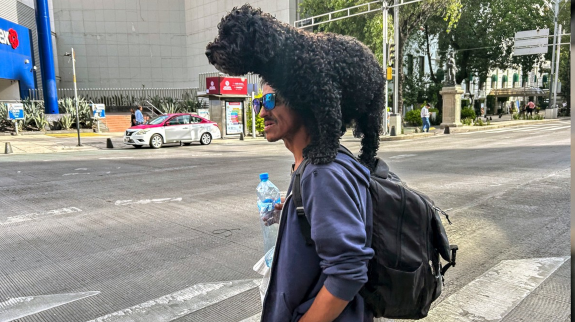 Un hombre carga a su perro sobre sus hombros para evitar pisar el pavimento caliente en la Ciudad de México, el 14 de junio de 2024, durante una ola de calor.